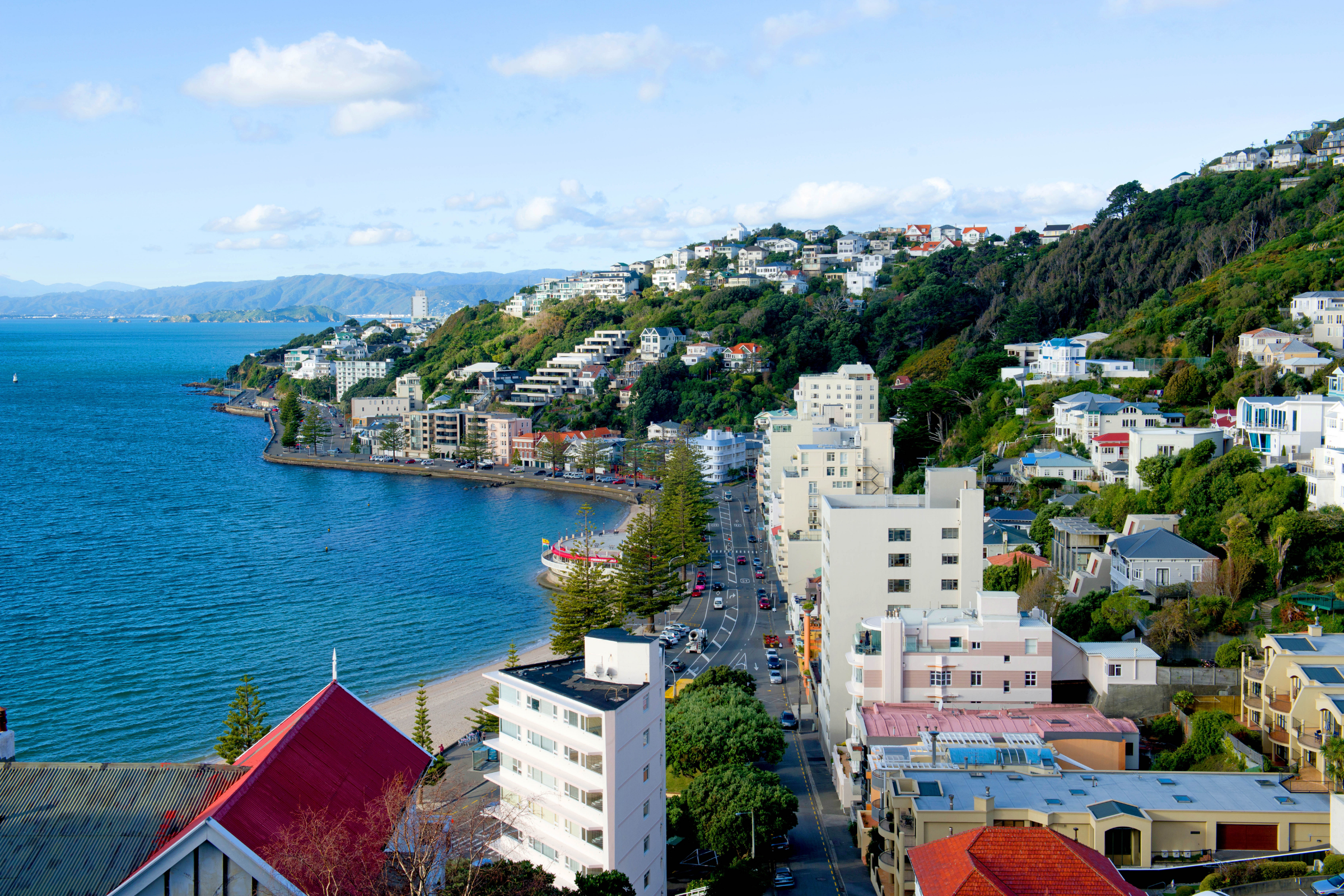 balleny islands (4).webp